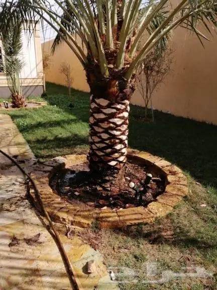 تنسيق حدائق الاندسكيب وشبكات الري 8