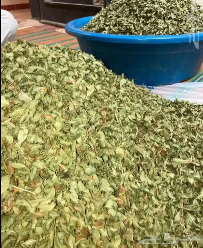 حنا حنى من المدينة ممتاز لون و رائحة 0