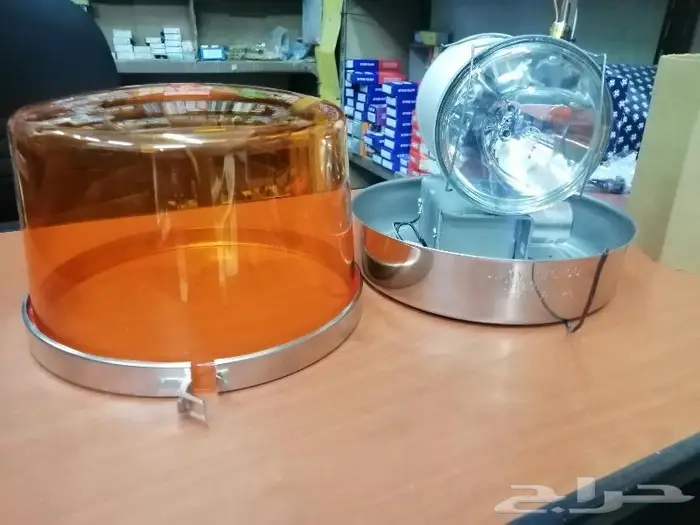 سفتي أمريكي قاعده كبير 5