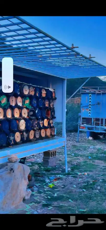 عسل جبلي صافي مشروط من منحلي شخصي ا 5