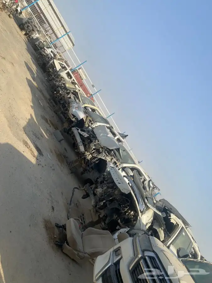 مندوب قطع تشاليح الحاير والسلي 9