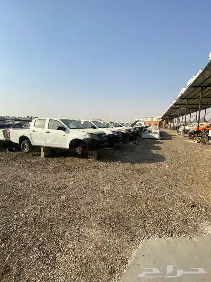 مندوب قطع تشاليح الحاير والسلي 3