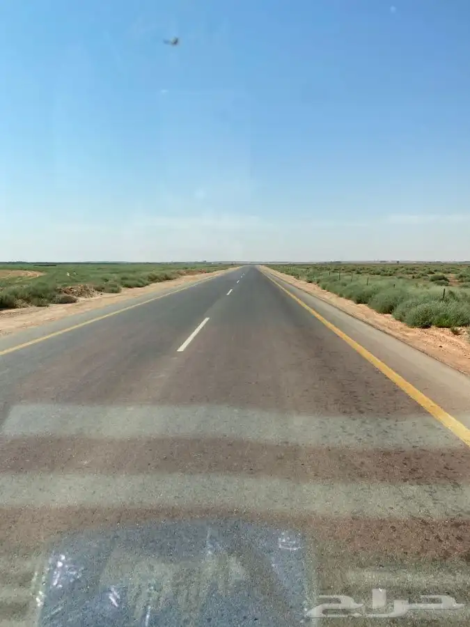 سطحه الحناكيه الهميج النقره 0