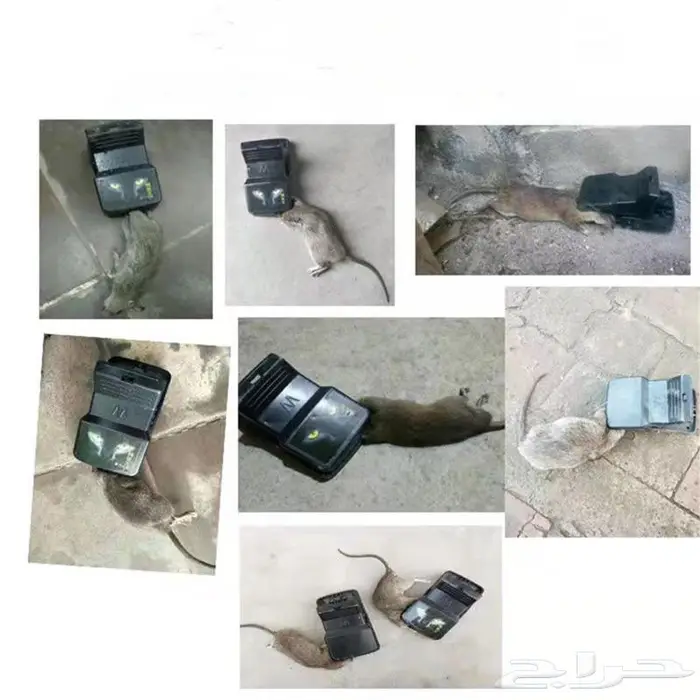 فخ الصيد الذكي مصيدة الفئران 4