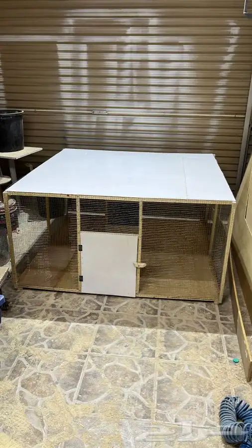 محكر حمام محكر روز محكر طيور محكر دجاج ارانب بط 2