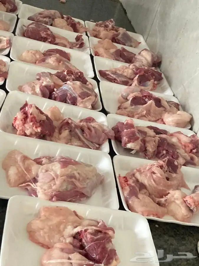 ذبايح مزرعة مرابي عسير 2