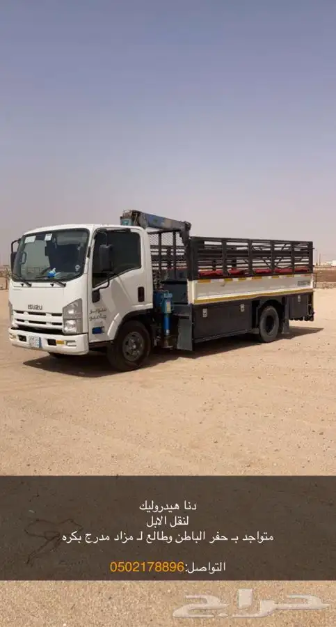 دنا ونش 0