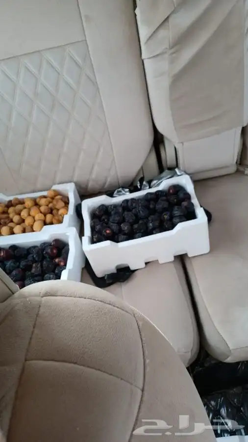 قهوه  قشر وعجوة المدينه 12