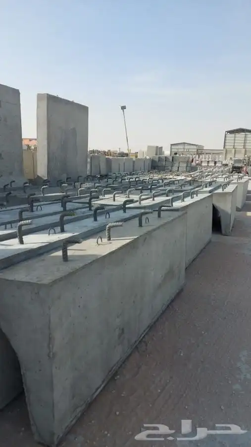 صبات نيوجرسي وزينة حدائق 16