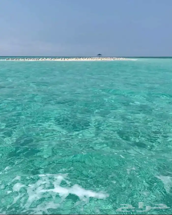 رحلات بحرية 1