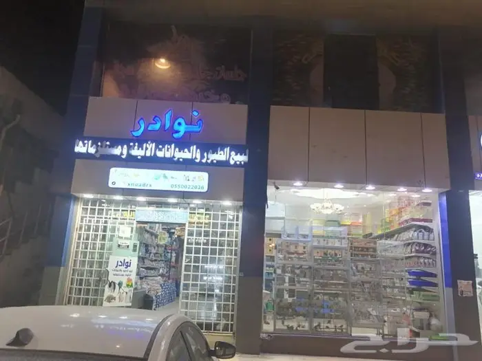 سلاحف برية وبرمائية وسمك فايتر محل نوادر 10