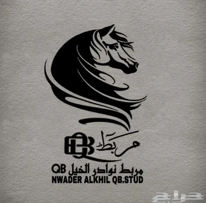 مربط نوادر الخيل QB (صامطه) 0
