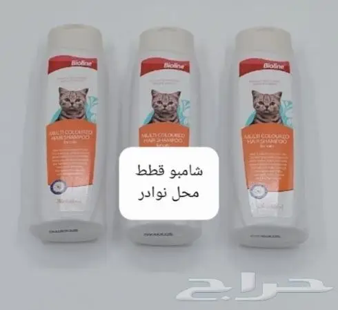 جديد اكل قطط وجميع مستلزماتها نوادر خميس مشيط 35