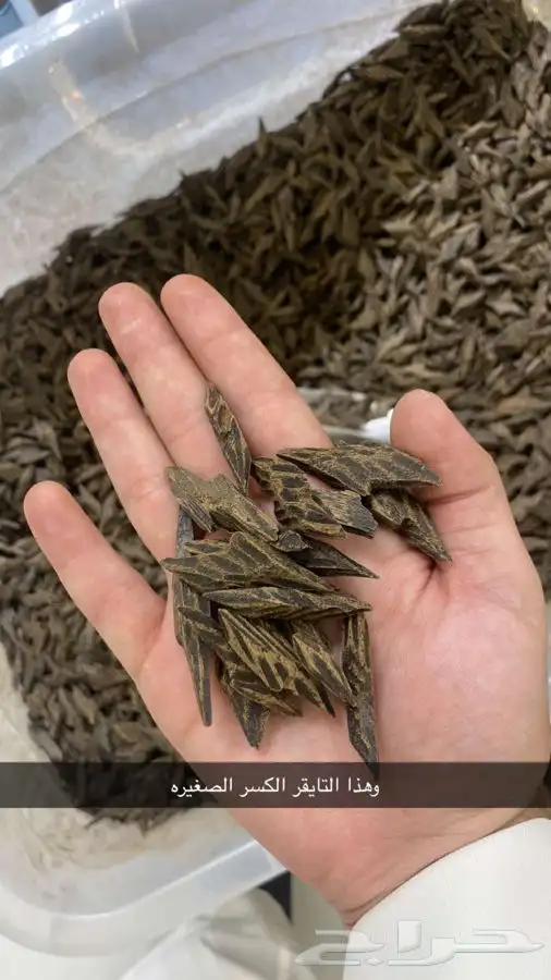 عود تايقر فيتنامي نكهة كمبوديه ريسين بيور فخم عرض للمساجد 4