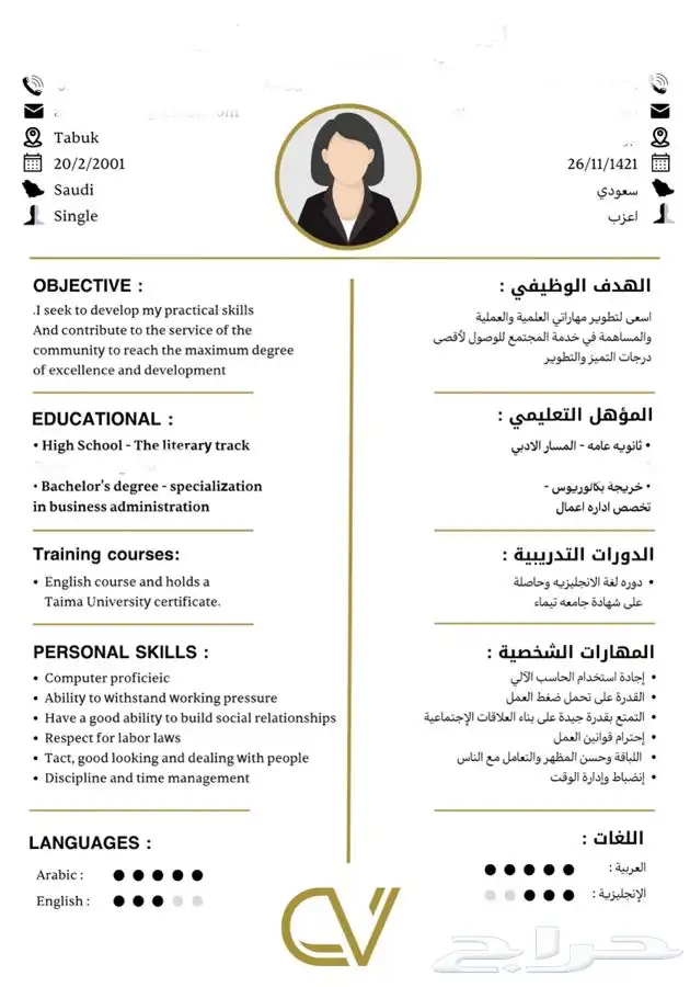 تصميم سيرة ذاتية مدمج بالعربية والانجليزية 0
