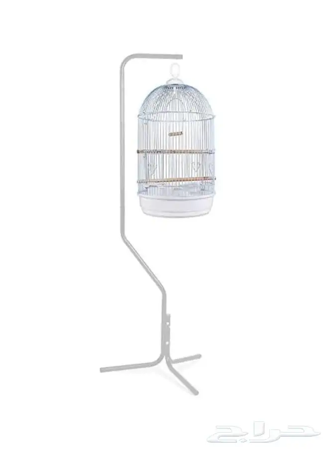 متجر Modi Birds للحيوانات الاليفة 34