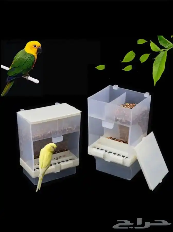 متجر Modi Birds للحيوانات الاليفة 26