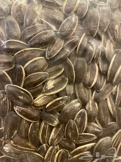 حب مشكل كاسكو روز كنيور كناري كروان بادجي وحب شمسي ودخن سادة 9