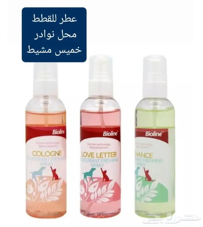 جديد اكل قطط وجميع مستلزماتها نوادر خميس مشيط 56