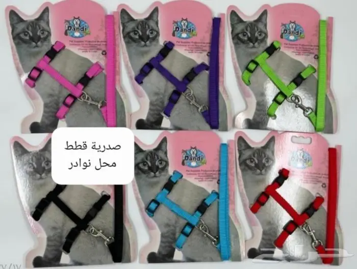 جديد اكل قطط وجميع مستلزماتها نوادر خميس مشيط 24