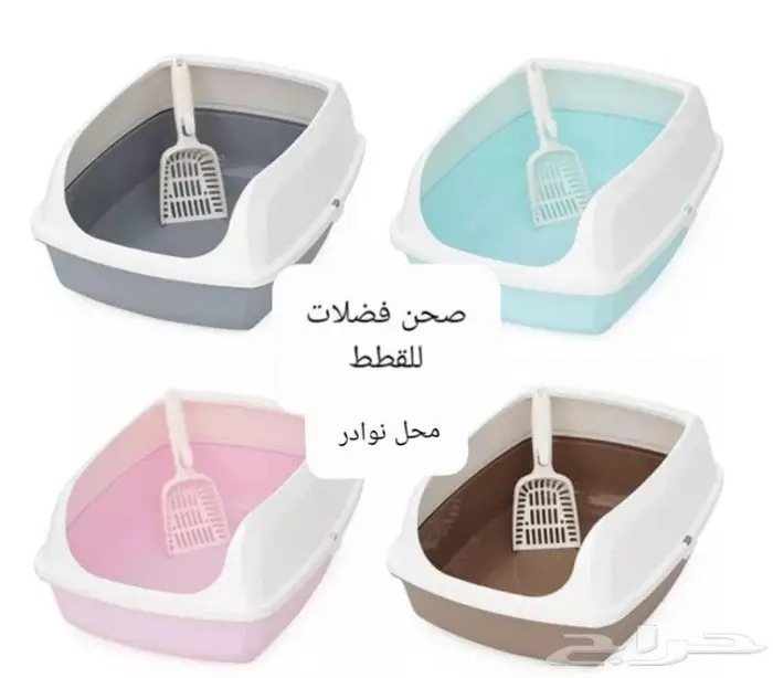 جديد اكل قطط وجميع مستلزماتها نوادر خميس مشيط 34