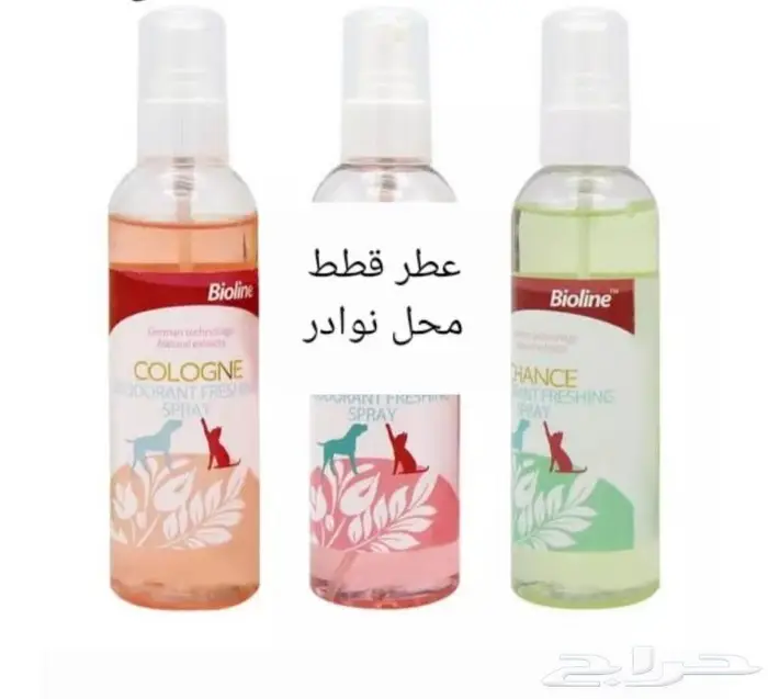 جديد اكل قطط وجميع مستلزماتها نوادر خميس مشيط 36