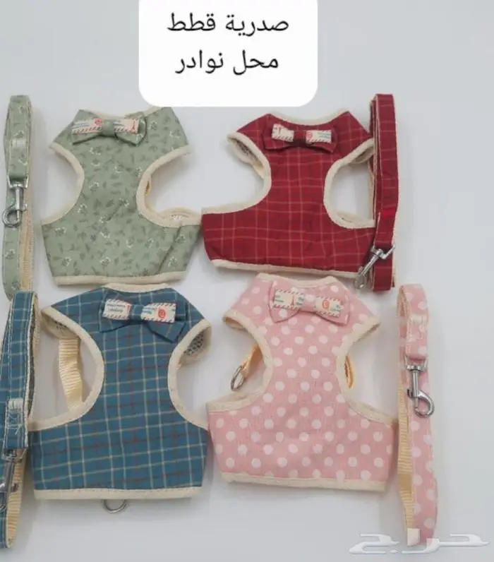 جديد اكل قطط وجميع مستلزماتها نوادر خميس مشيط 23