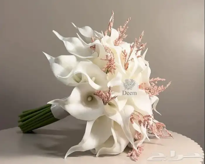توصيل هدايا كوشات سماعات باقات بنفس اليوم 4