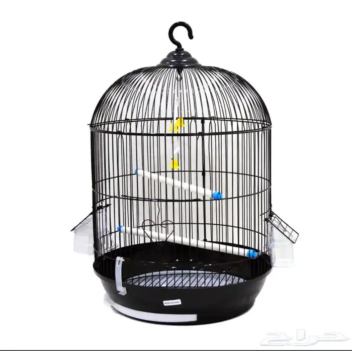 متجر Modi Birds للحيوانات الاليفة 33