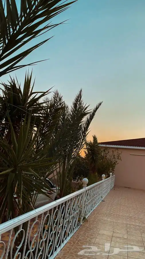 استراحة القمة للايجار اليومي  بالوسام 2 15