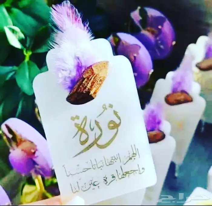 طباعة لوغو وشعارات صور تبشرتات سيفتي براشوت هودي عبايات 19