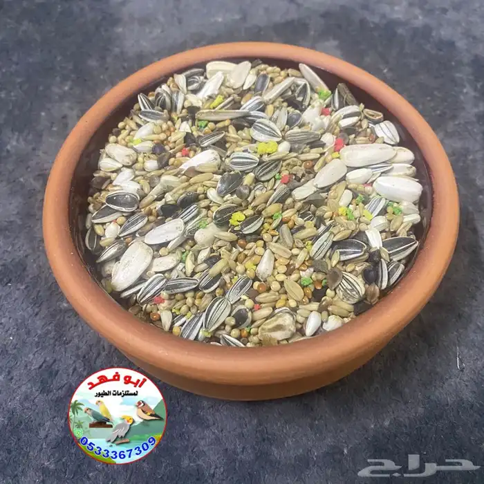 صحون فخار للطيور 2