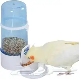 مستلزمات طيور اقفاص مشربيات بياضات ماكليه مصيده 6