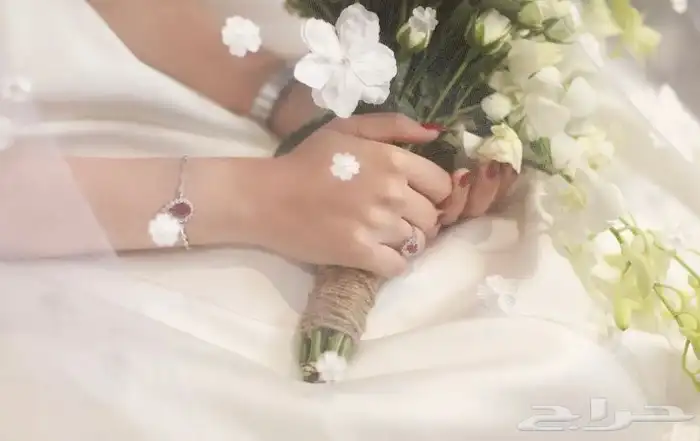 مصورة عرايس 4