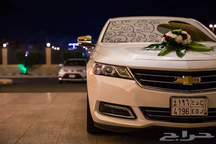 مصوريين فيديو وفوتغرافي محترفيين 36