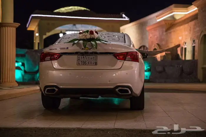 مصوريين فيديو وفوتغرافي محترفيين 15