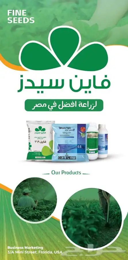 مصمم جرافيك وفيديوهات 6