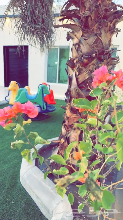 منتجع ليالي السيل للمناسبات 12