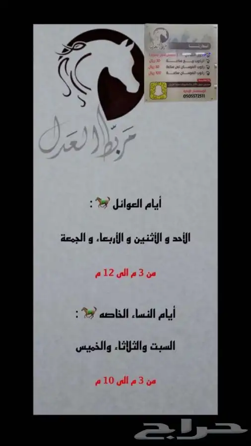 تدريب و تعليم اساسيات ركوب الخيل ومايخص الخيل 10