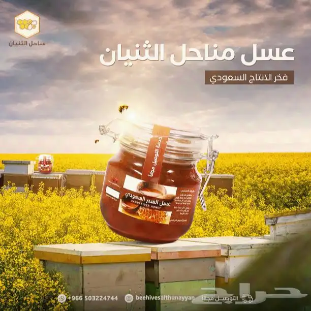 مصمم جرافيك وفيديوهات 15