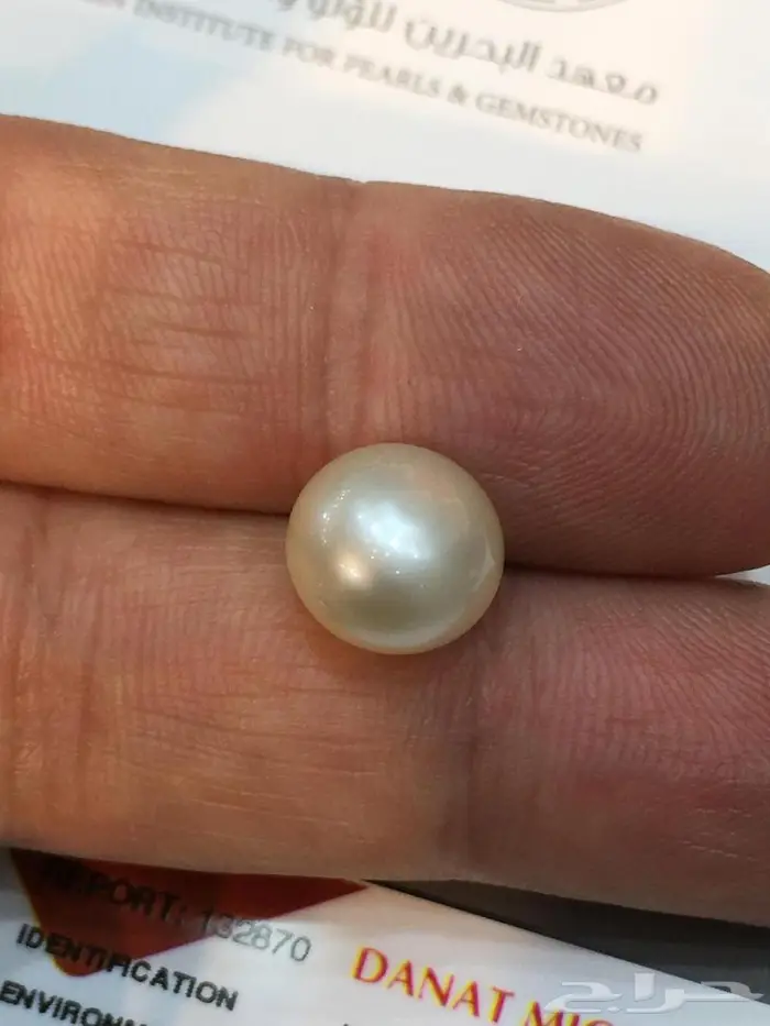 لؤلؤة بحرينية نادرة 8 قيراط 2