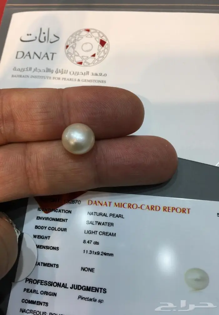 لؤلؤة بحرينية نادرة 8 قيراط 0