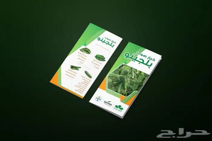 مصمم جرافيك وفيديوهات 7
