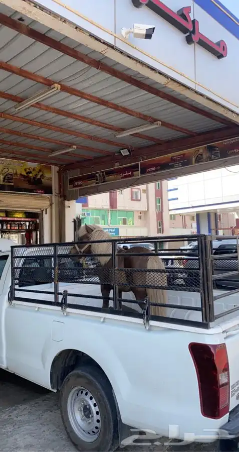 توصيل مشاوير 1