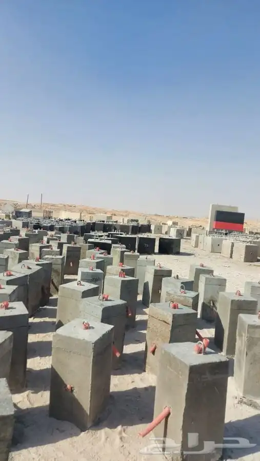 حجر نيوجيرسي وزينة حدائق 11