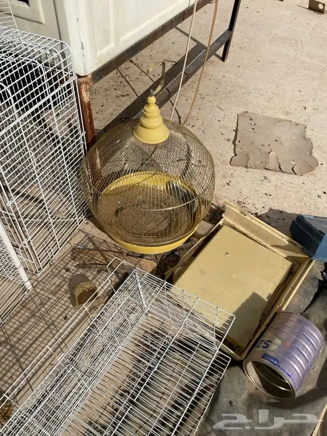 للبيع اقفاص طيور وحامل اقفاص 3