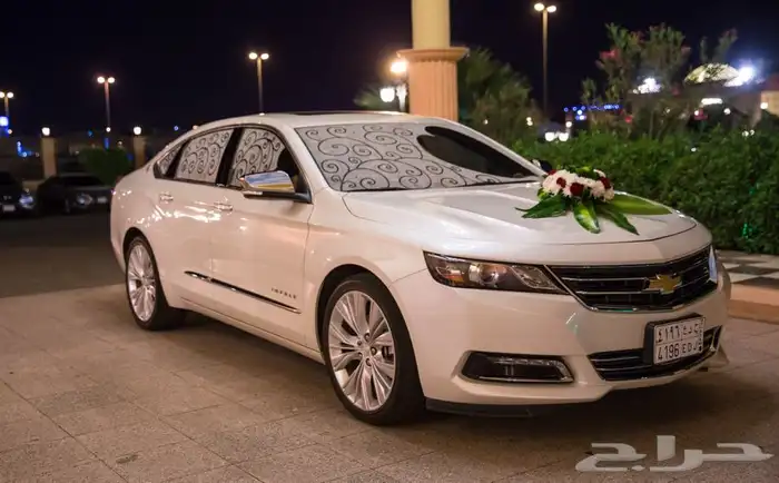 مصورين المدينة مصورين محترفين 20