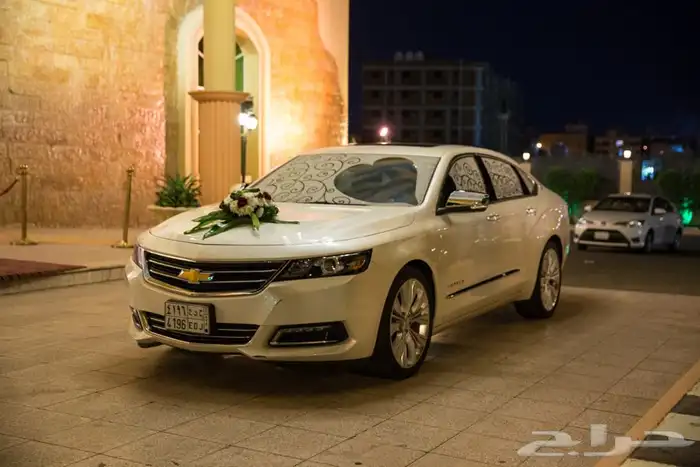 مصورين المدينة مصورين محترفين 33