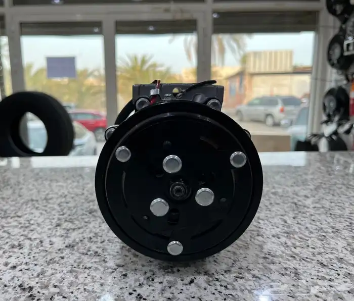 كمبروسور شروكي من 2001 1986 3