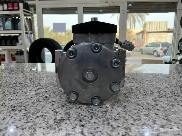 كمبروسور شروكي من 2001 1986 7